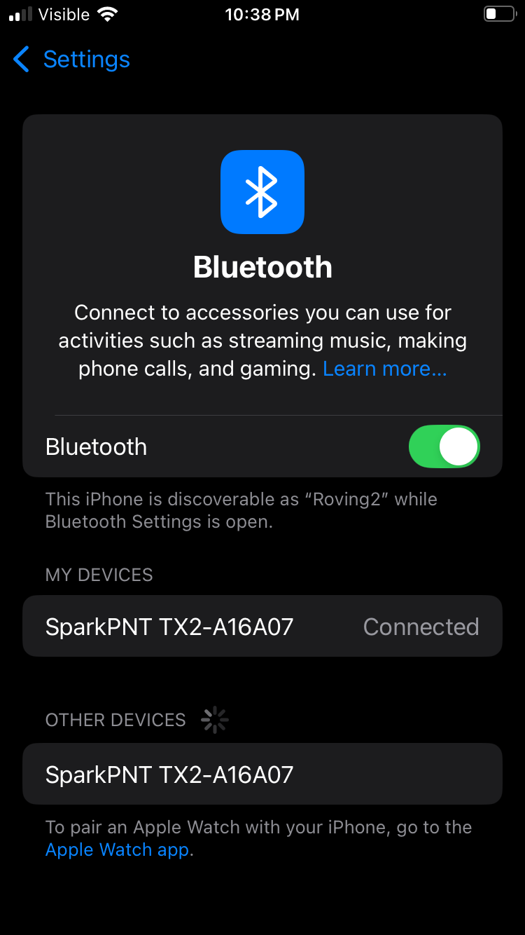 iOS Settings Bluetooth Paired