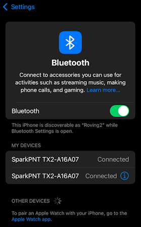iOS Settings Bluetooth Paired